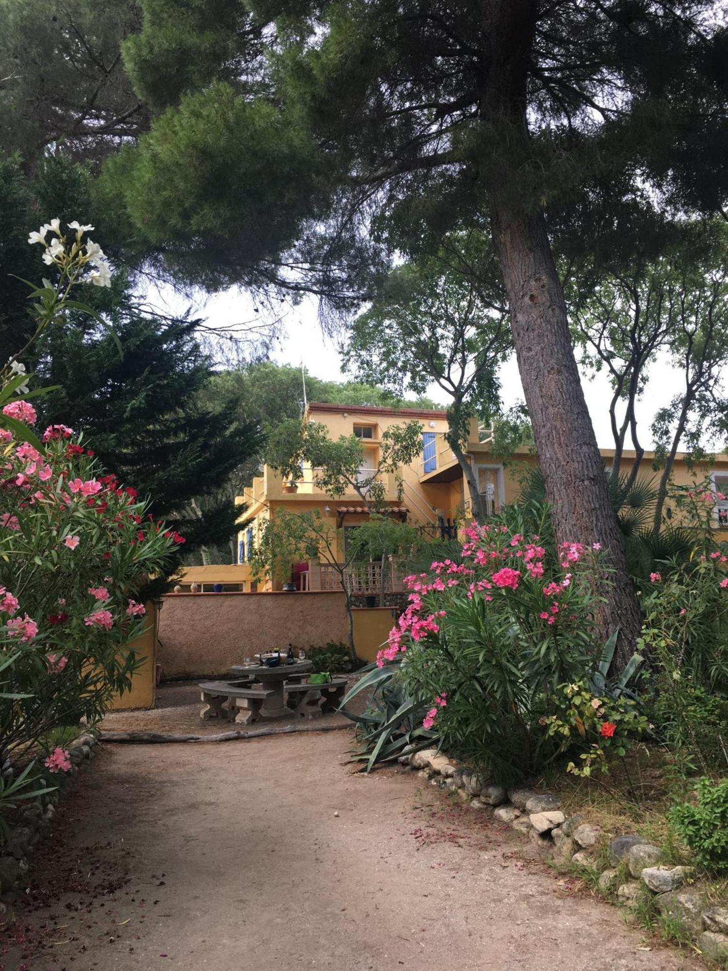 Gites De La Massane Argelès-sur-Mer Exterior foto